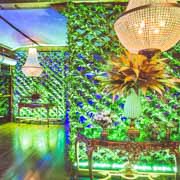 Sambhawaii do Clube Bela Vista 2019