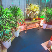 Sambhawaii do Clube Bela Vista 2019