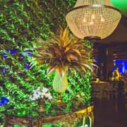 Sambhawaii do Clube Bela Vista 2019